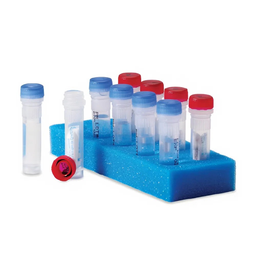 A brasiliensis ATCC® 16404™ Q Kit