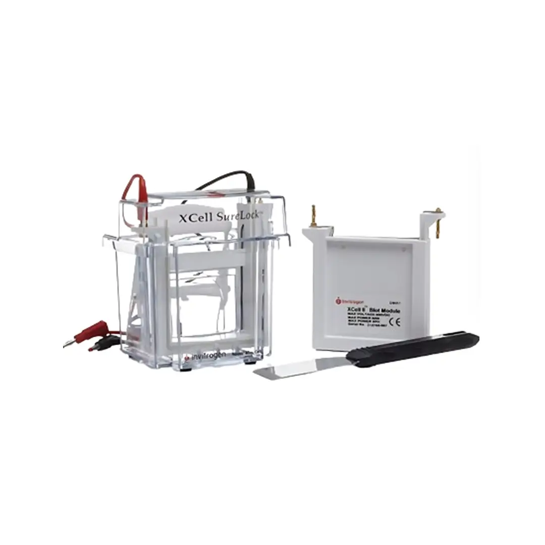 Мини-камера XCell SureLock™ и модуль для блоттинга XCell II™ (EI0002)
